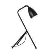 Лампа настольная Moderli Show V10998-T