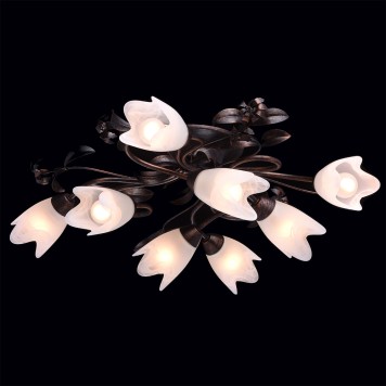 Светильник потолочный MW-Light Аида 13 323013708-2