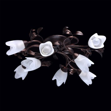 Светильник потолочный MW-Light Аида 13 323013708-3