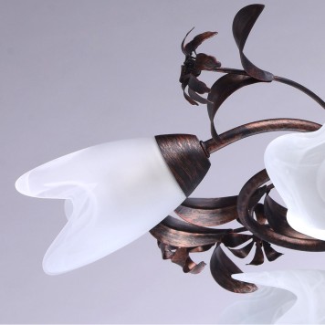 Светильник потолочный MW-Light Аида 13 323013708-5