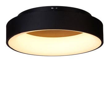 Светильник потолочный MyFar Shannon MR2193-1PL-1