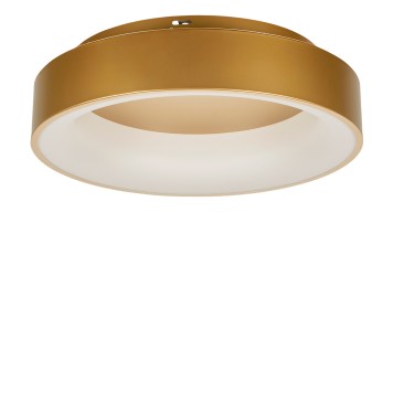 Светильник потолочный MyFar Shannon MR2195-1PL-1