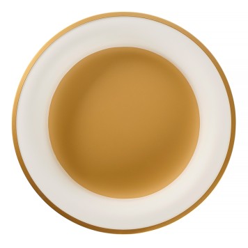 Светильник потолочный MyFar Shannon MR2195-1PL-4