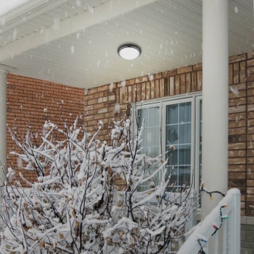 Уличный настенно-потолочный светильник Novotech Opal 357505-1