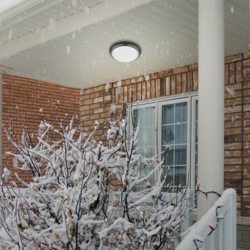 Уличный настенно-потолочный светильник Novotech Opal 357507-1