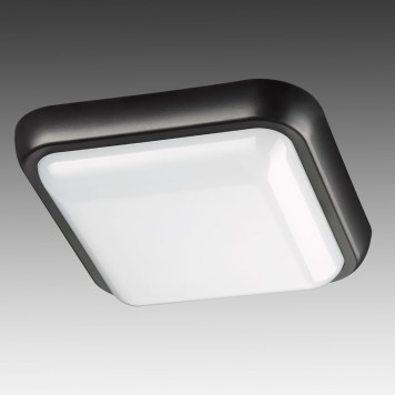 Уличный настенно-потолочный светильник Novotech Opal 357511