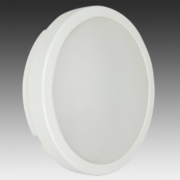 Уличный настенно-потолочный светильник Novotech Opal 357514