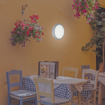 Уличный настенно-потолочный светильник Novotech Opal 357515-1