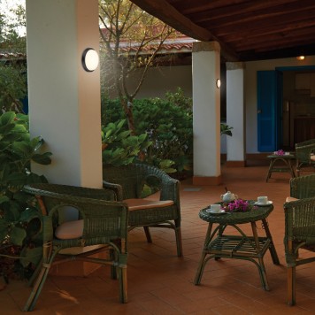 Уличный настенно-потолочный светильник Novotech Opal 358017-1