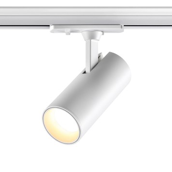Трековый двухжильный светильник Novotech Selene 359147-2