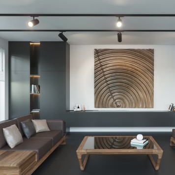 Трековый двухжильный светильник Novotech Selene 359149-1