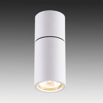 Светильник точечный Odeon Light Duetta 3582/1C