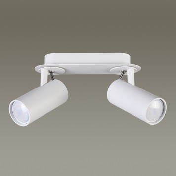 Светильник точечный Odeon Light Corse 3873/2C