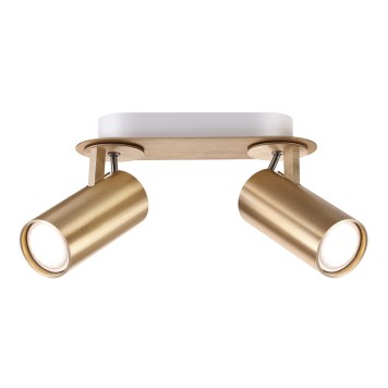 Светильник точечный Odeon Light Corse 3876/2C-1