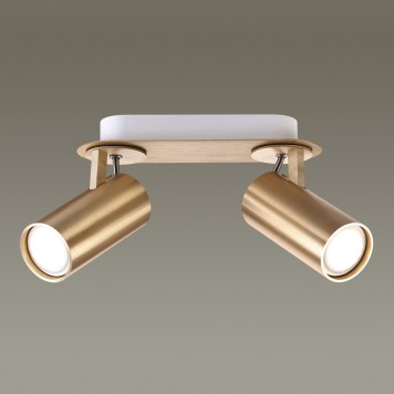 Светильник точечный Odeon Light Corse 3876/2C-2