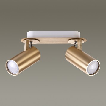 Светильник точечный Odeon Light Corse 3876/2C