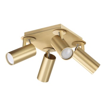 Светильник точечный Odeon Light Corse 3876/4C-2