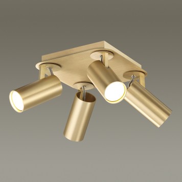 Светильник точечный Odeon Light Corse 3876/4C-3