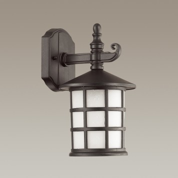 Уличный настенный светильник Odeon Light House 4042/1W-2