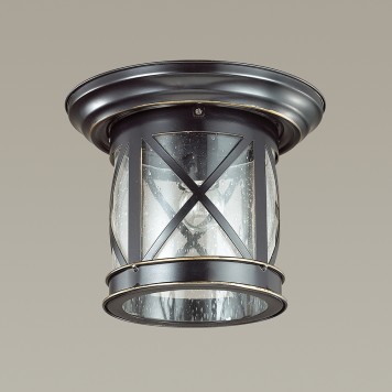 Уличный потолочный светильник Odeon Light Sation 4045/1C-4