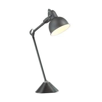 Лампа настольная Odeon Light Arta 4125/1T