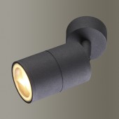 Светильник точечный Odeon Light Corsus 4207/1C