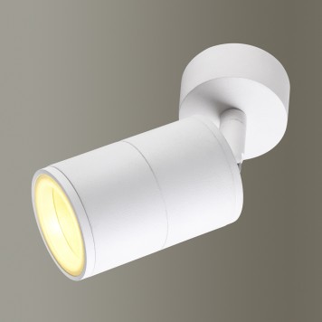 Светильник точечный Odeon Light Corsus 4208/1C