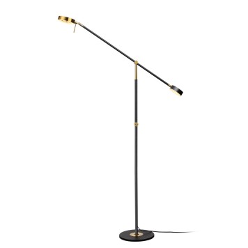 Торшер Odeon Light Denzel 4321/20FL