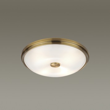 Светильник потолочный Odeon Light Pelow 4956/4-3