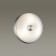 Светильник настенно-потолочный Odeon Light Pelow 4957/2