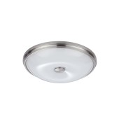 Светильник потолочный Odeon Light Pelow 4957/4