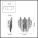 Бра Odeon Light Tears 5049/3W