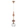 Люстра Odeon Light Terra 5414/1C