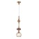 Люстра Odeon Light Terra 5414/1C
