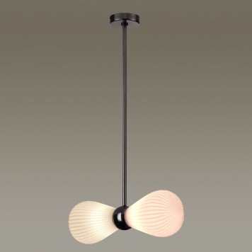 Люстра Odeon Light Elica 5418/2-2