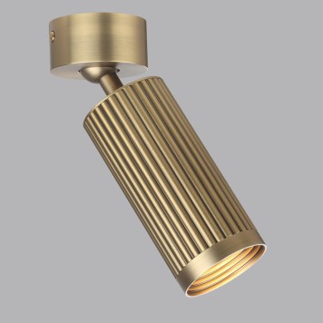 Светильник точечный Odeon Light Manchester 7013/1C-2