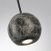 Люстра Odeon Light Dex 7068/5L