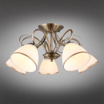 Светильник потолочный Omnilux Alimini OML-25307-05-3