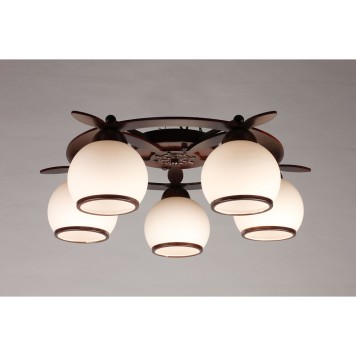 Светильник потолочный Omnilux Fronteira OML-50507-05-4