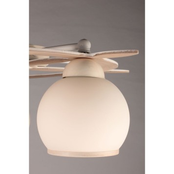 Светильник потолочный Omnilux Fronteira OML-50517-05-1