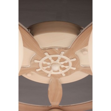 Светильник потолочный Omnilux Fronteira OML-50517-05-3