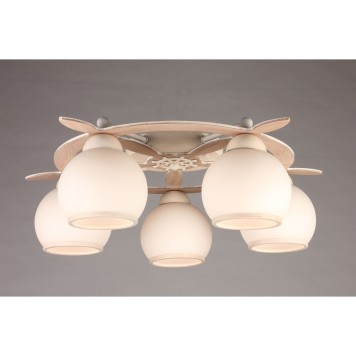 Светильник потолочный Omnilux Fronteira OML-50517-05-4