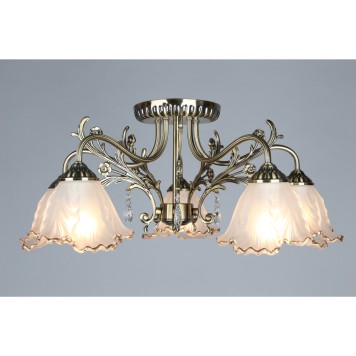 Светильник потолочный Omnilux Petrara OML-54807-05-1