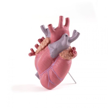 Ваза декоративная Seletti Love in Bloom 9923-1