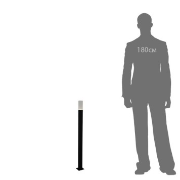 Уличный фонарь ST-Luce SL101.415.01-1