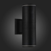 Уличный настенный светильник ST-Luce SL561.401.02