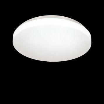 Светильник настенно-потолочный Sonex Smalli 3050/CL-4