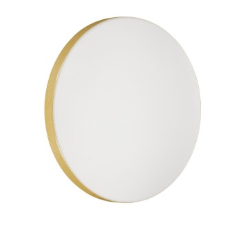 Светильник настенно-потолочный Sonex Smalli 3066/AL-4