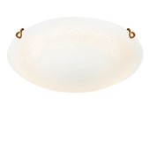 Светильник потолочный Sonex Ammonite 7602/DL