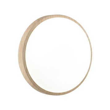 Светильник настенно-потолочный Sonex Losta 7607/AL-1